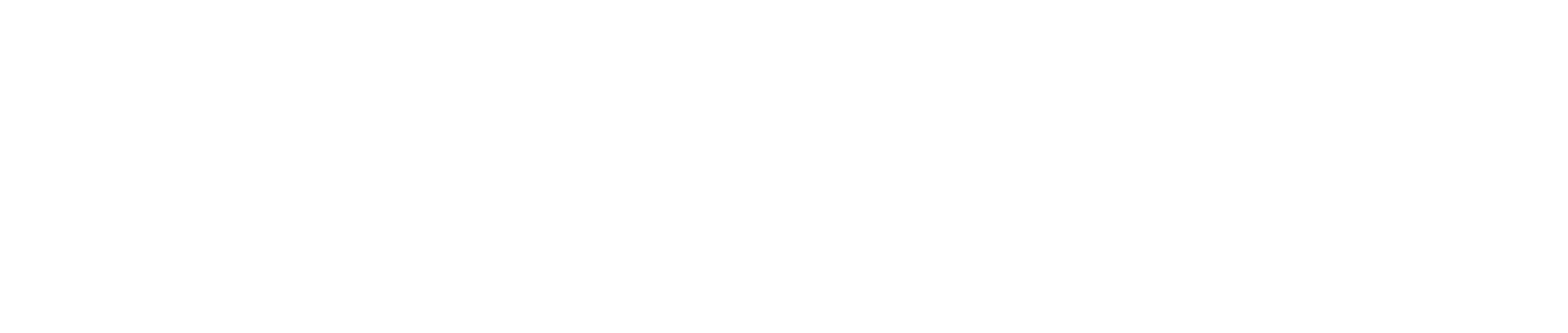 Penneo transparent white logo